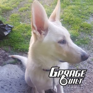 Meet your Posher, Jacob